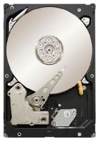 HDD   Seagate ST31000424SS