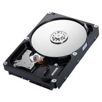 HDD   Samsung HD322GJ