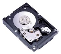 HDD   Fujitsu MAW3300NP