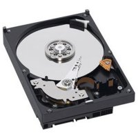   250 Gb Western Digital WD2500AAKX Caviar Blue, SATA III [7200rpm, 16Mb]