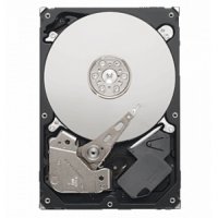 HDD   Seagate ST3250312CS