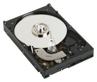 HDD   Western Digital WD2500YS