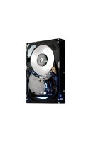 HDD   HGST HUS156045VLF400