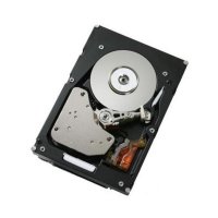 HDD   IBM 81Y9670