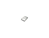 HDD   IBM ST973401LC