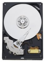 HDD   Western Digital WD1600JB