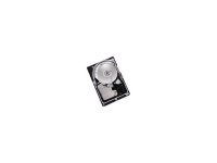 Dell   Atlas 15KII 8K147J 146Gb (U320/15000/8Mb) 80pin U320SCSI(UJ672)