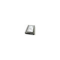 IBM   Eserver xSeries 36,4Gb (U320/10000/8Mb) 80pin U320SCSI(22R0611)