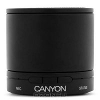  Canyon Bluetooth Wireless Speaker, Black