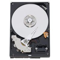   Western Digital WD5000AAKS 500Gb