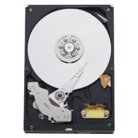   Western Digital WD800JB