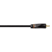  RCA - RCA 2  (Hama H-107499 Avinity) ()