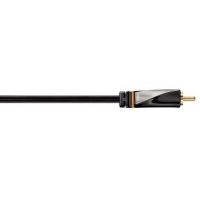  RCA - RCA 1  (Hama H-107502 Avinity) ()