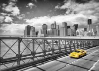  KOMAR 4-929 Taxi to Brooklyn 184  254 