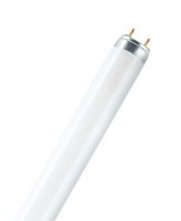   OSRAM L36W/640 G13, .,  = 26 ,  1200 