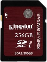   Kingston SDA3/256GB