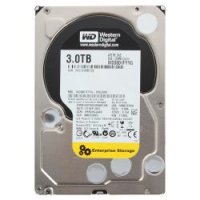    hdd Western Digital WD3001FYYG