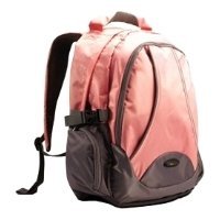    Lenovo Ideapad Backpack B450