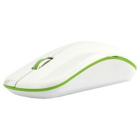  DeTech DE-7069W Wireless Optical Mouse White-Green USB