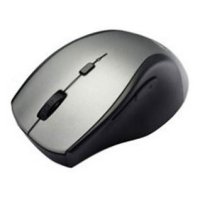  ASUS WT415 Optical Wireless Mouse Grey USB ()