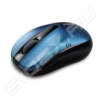 Rapoo Wireless Optical Mouse 1070P Lite USB ()