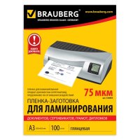    BRAUBERG 530894