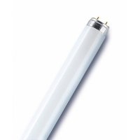   OSRAM Basic T8 18W/765 590mm G13