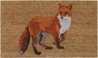   Gardman "Curious Fox", 45   75 