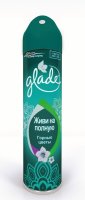   GLADE      300 