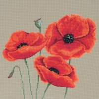    Maia "Poppies" // 35*35  (:  Aida 18,  ,  Anch