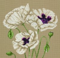    Maia "White Poppies" / / 25*25  (:  Aida 16,  