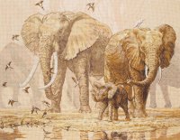    Maia "African Elephants And Namaqua Doves" /    /