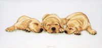    Anchor "Sleeping Labradors" / / 18*47  (:  Aida 16,