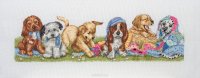    Anchor "Puppies In A Row" /  / 14*47  (:  Aida 16, 