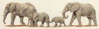    Anchor "Elephant Stroll" / / 14*47  (:  Aida 16, 