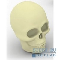   USB 2.0 ICONIK RB-SCULL-4GB 