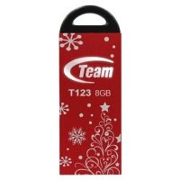   Team Group T123 8GB