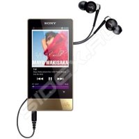   Sony NWZ-F804N ()