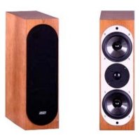 ASW Loudspeaker Genius 200