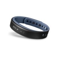   GARMIN Vivosmart Blue, Large