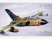   Revell " Tornado IDS"