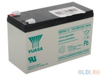  Yuasa 12V9Ah (REW45-12)