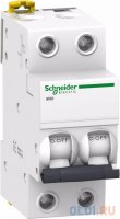   Schneider Electric iK60 2  2A C A9K24202