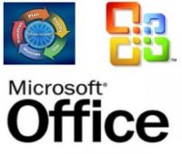 Microsoft Office Professional Plus English LicSAPk OLP C Gov