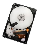  (HDD)   HGST HUA722010CLA630