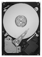  (HDD)   Seagate Barracuda Green (ST2000DL003)