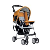   Graco CitiSport Cocoon 6N95 Genny