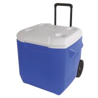  Coleman 45QT WHLD 3000002455