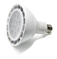   Verbatim LED PAR38