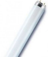   Osram 581419